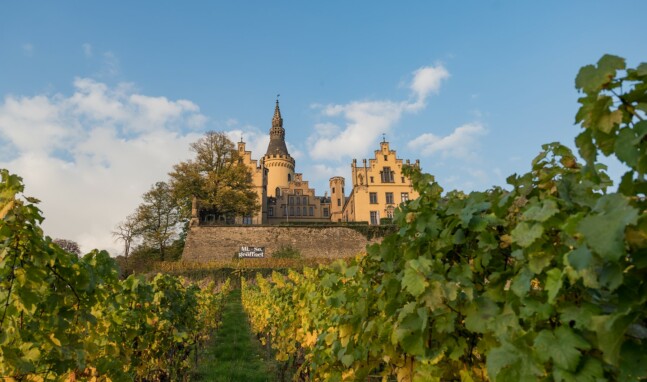 Weinprobe, Gruseldinner & Geisterführung auf Schloss Arenfels